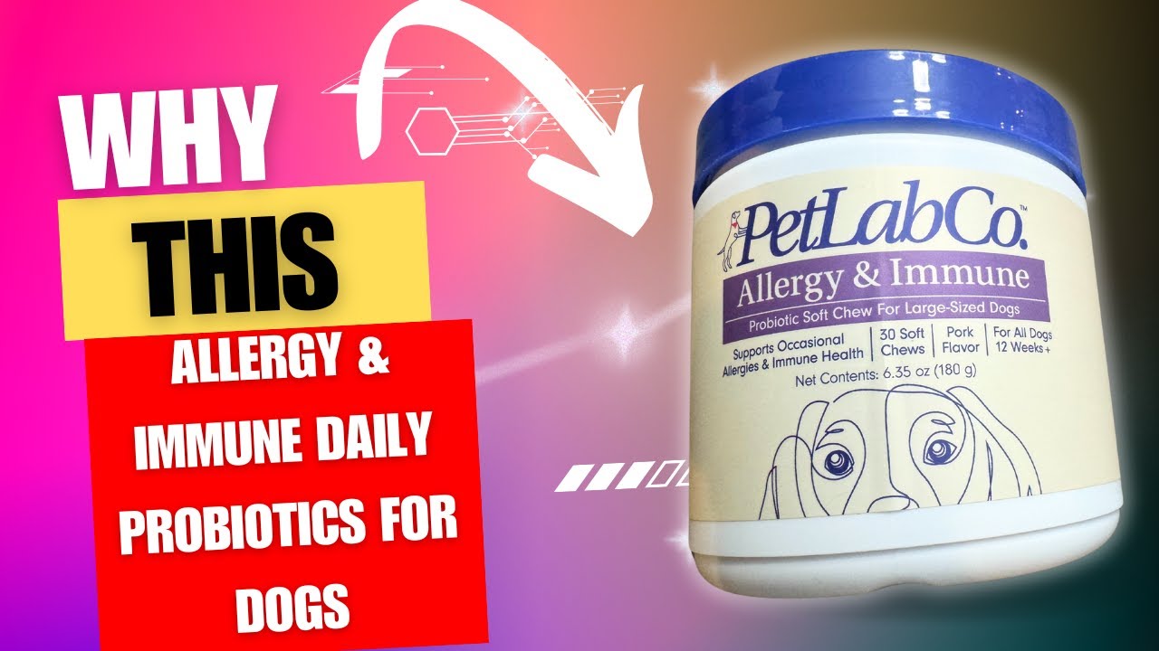 Review of PetLab Allergy & Immune Daily Probiotics for Dogs