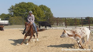 GCH Smart Doc Moria***For info, price, etc., go to our website: ValleyViewRanch.net***