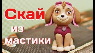 Скай из мастики мастер-класс. Щенячий патруль.