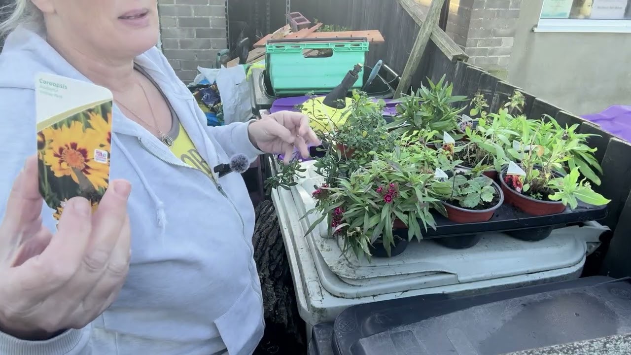 Chaos Corner | Couch Grass | Two hours | Winter job list | Seed sowing | Perennials | January 2026