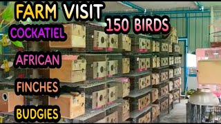 Farm Visit|| 150 Birds|| Budgies|| Cockatiel & African|| Finches Birds Farm Visit|| (Erode).
