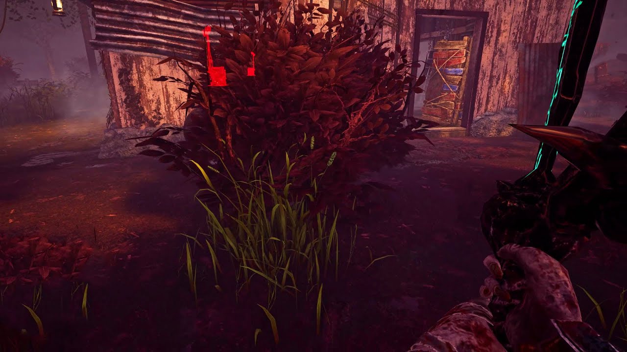 Garden Of Joy The Shack Bush