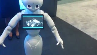 Cebit 2016   Pepper Robot shows cat