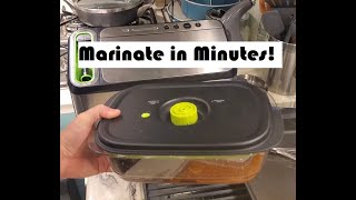 How to Marinate in Minutes?!  Food Saver Marinating Container Review with Simple Marinade Recipe