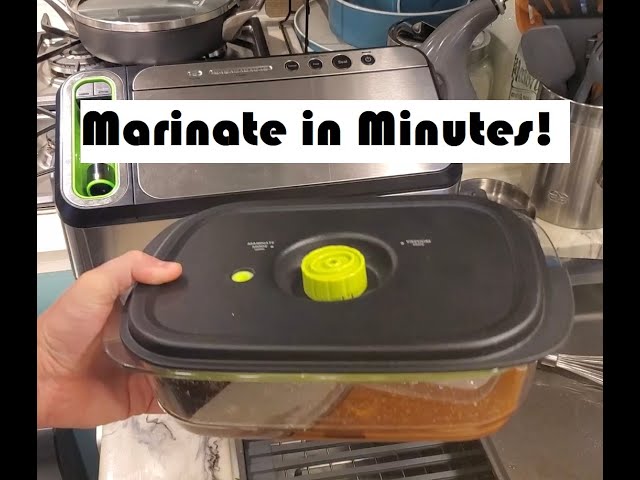 How to Marinate in Minutes?! - Food Saver Marinating Container Review with  Simple Marinade Recipe 