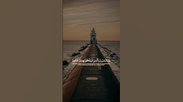 سورة آل عمران #عمر_هشام_العربي|قالب قران كاب كات|quran-capcut-template