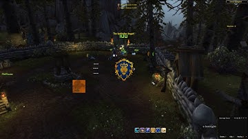 Feral Druid Custom UI