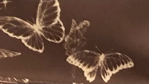 Should I post all the random videos I find in my camera roll😂