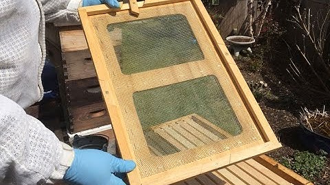 Swarm Control using the Snelgrove Board