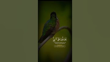تلاوة خاشعة "" (ان الله وملائكته يصلون على النبي )