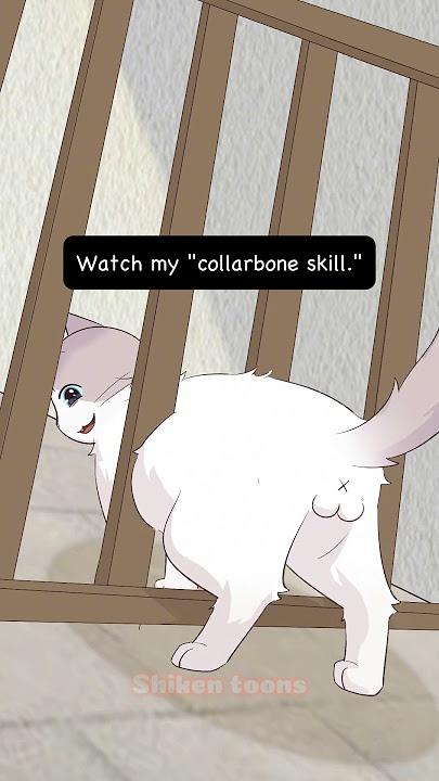 Cats vs. Dogs: Who is Smarter? #cat #dog #shorts