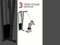 high protien sources gym triceps workout #shorts #motivation #gym lifestyle #viral miv status