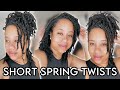 BEST Protective Style for Natural Hair Growth | Spring Twists on Short Natural Hair