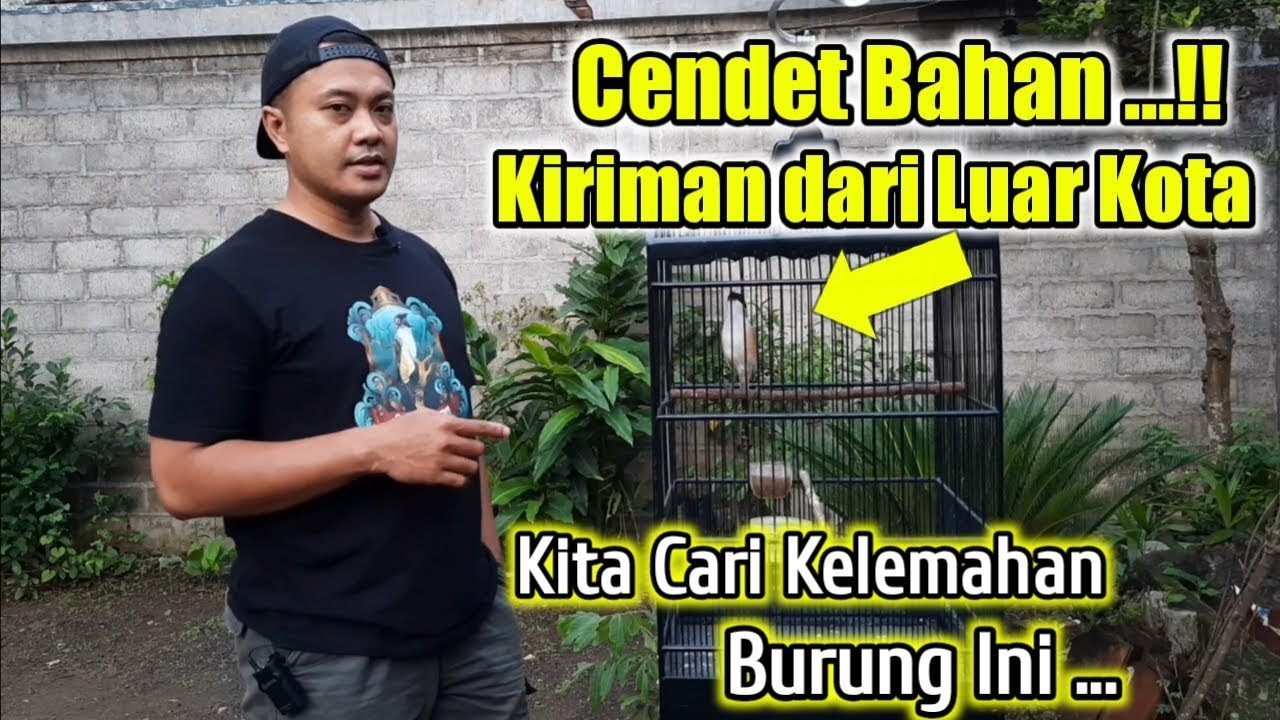 CEK BAHAN CENDET ISTIMEWA BOLO