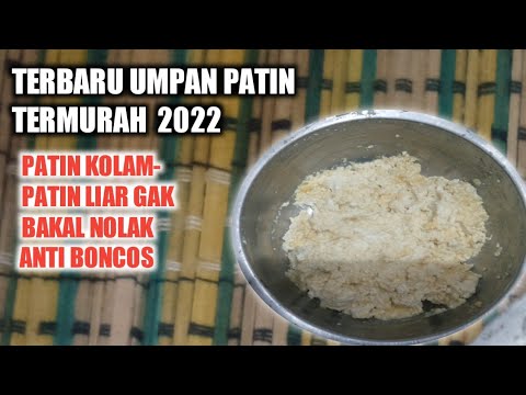 RACIKAN UMPAN IKAN PATIN JITU DAN AMPUH CUMA 5000 RUPIAH | UMPAN AMPUH