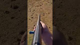 “Дикая природа: момент охоты 🐗 #охота #hunting #загоннаяохота