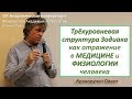 Зодиак как отражение в МЕДИЦИНЕ, психотипе и физиологии человека. Криворучко П.