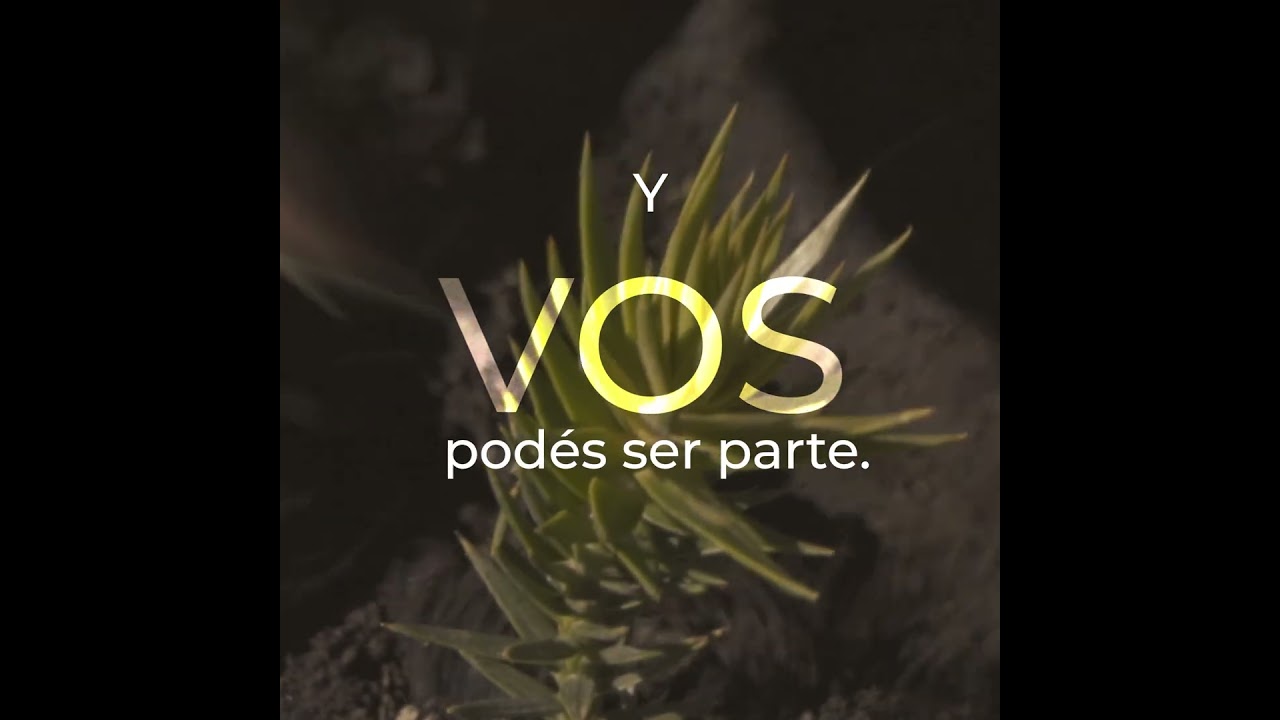 AAP Alternativa