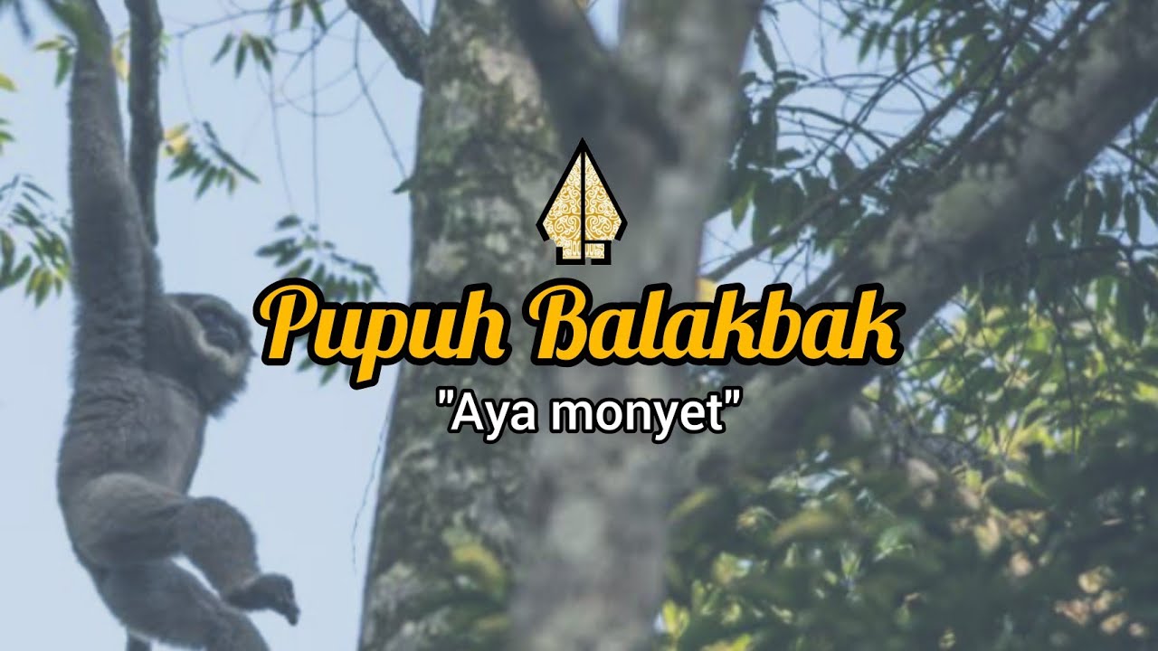 PUPUH BALAKBAK | LIRIK