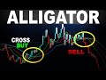 The 2 secrets of making profit from the Alligator Indicator