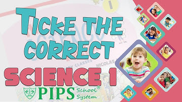 Grade 1 Science Unit 2 The Animal World Lecture Tick the correct answer