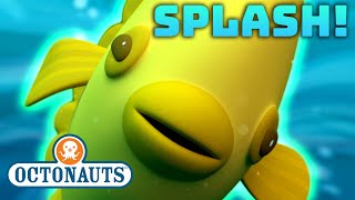 @Octonauts - 💦 SPLASHing Into April | Spring Sea Adventures Compilation | @OctonautsandFriends