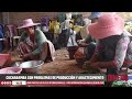 “Las familias productoras ya no tienen capital para reinsertarse”