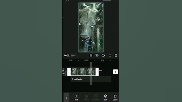 Mahadev status 🙏🙏(cap cut editing)💯(Aatma Rama)#trending #viral