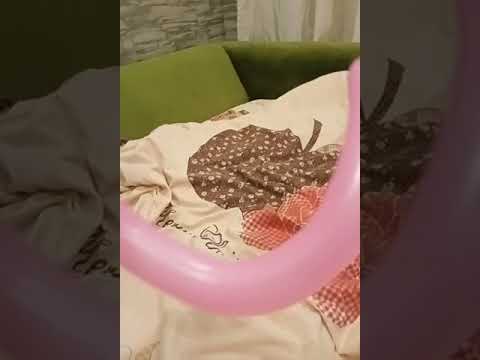 моя змея из