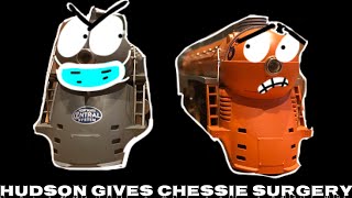 Hudson Gives Chessie Surgery