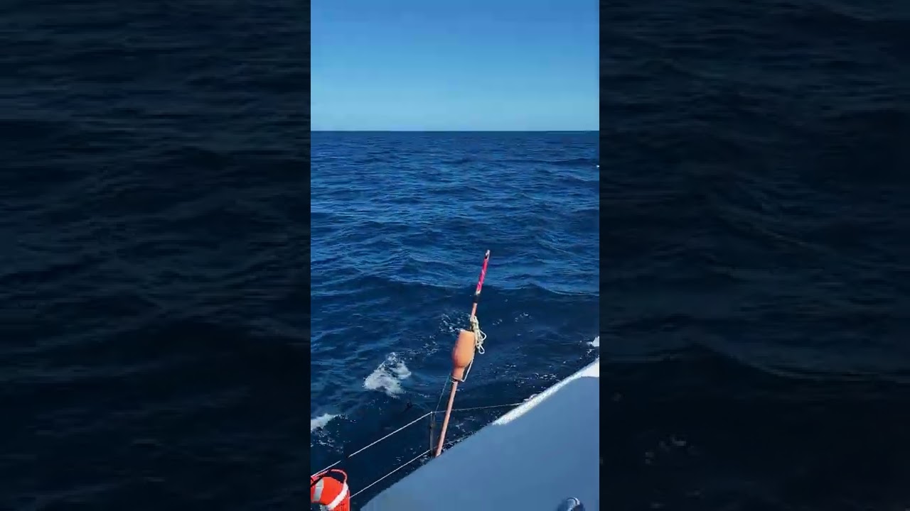 Lagoon 500 under full sails
