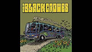 The Black Crowes - Under A Mountain Live Bristol England January 13th 1997