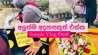 ලස්සන Idea එහකුත් එක්කම ලස්සන Vlog එකක් srilankan dayinmylife viral vlogs trending