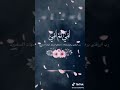 أمك ثم أمك ثم أمك ثم أبوك
