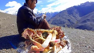 Living the Village Lifestyle in Afghanistan  Mountain Rhubarb Picking