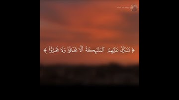 "إن الذين قالوا ربنا الله ثم استقاموا.."| سورة فصلت.