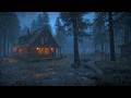 Gentle Rain Sounds for Sleep Fast | Cozy Night Rain Ambience with No Thunder All Night