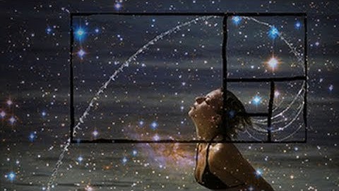 Understanding The Fibonacci Spiral