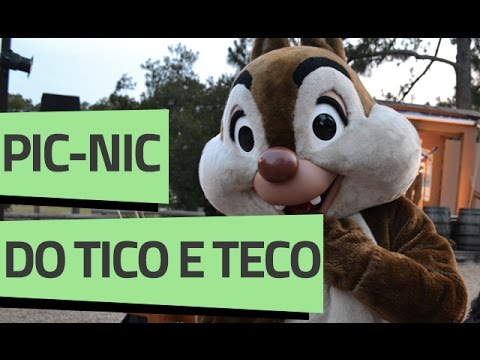 Como é a fogueira com o Tico e Teco na Disney – Vamos falar de