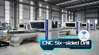 Advanced Six-Sided Drilling Machine 6 Sides CNC Drilling Machine for Panel Furniture Production
