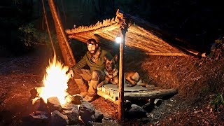 Bushcraft Shelter Camping in the Wild  Wilderness Survival, Nature Documentary, ASMR, DIY
