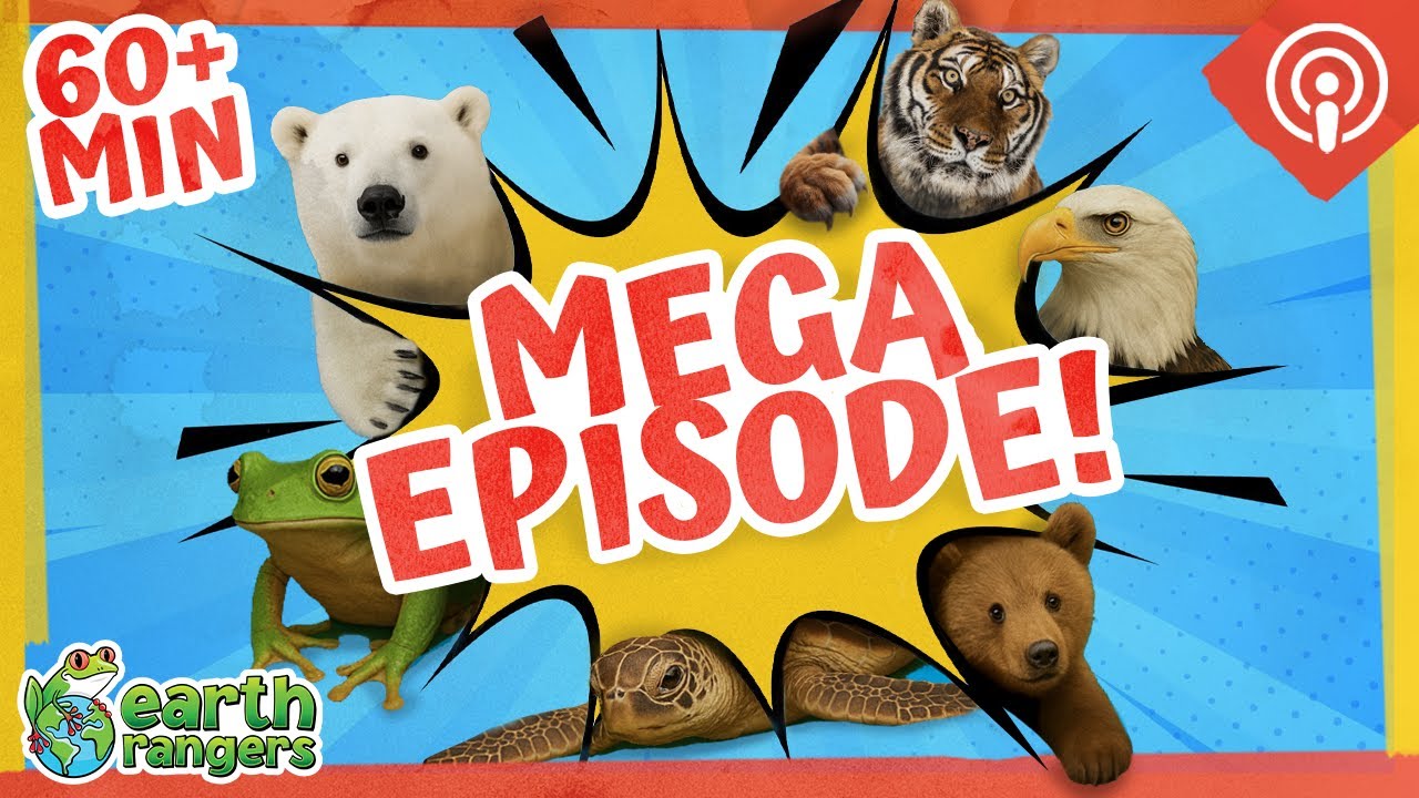 Season 1 MEGA EPISODE! 🐾 All 6 Wild Adventures in One! | Earth Rangers ...