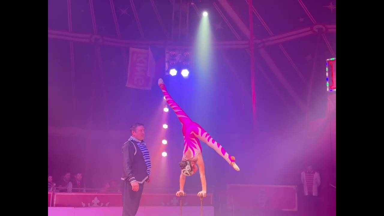 #circus #acrobatics #king circus