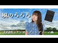 風のららら/名探偵コナンOPテーマ/うたってみた/倉木麻衣/アニメソングカバー/懐かしいアニメソング