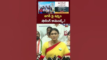 YS Sharmila Shocking Comments on YS Jagan l NTV Telugu