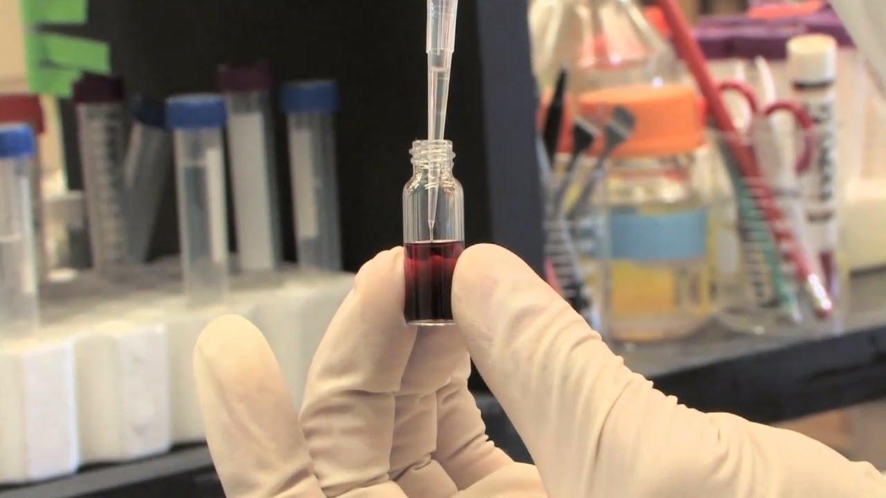 Synergy: Biosensors with Yi Lu (Using DNA to Detect Toxins)