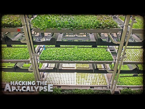 Robots run this farm (and save 95% of the water)