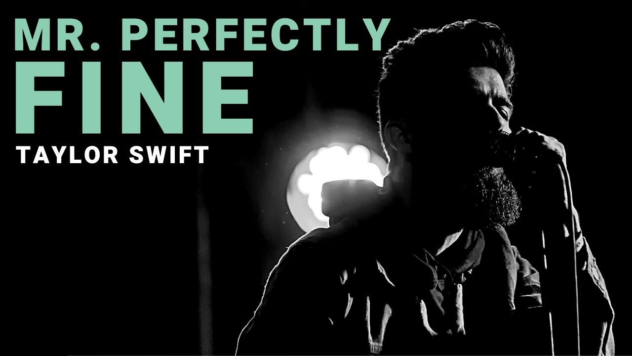 Mr. Perfectly Fine (Taylor's Version) (From the Vault) - Taylor Swift | Cover