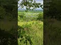#nature #kalapastangan