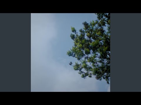 Music Video Preview
